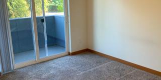 1111 N Forest St Gallery 63