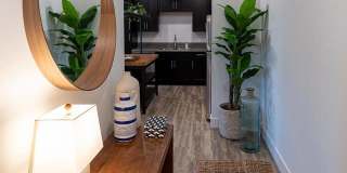 Vela Apartments Gallery 3