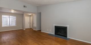 Songbird Apartments Gallery 45