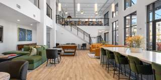 Ellison at the Preserve Gallery 21