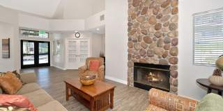 Forest Glen Gallery 3
