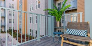 The Alder Gallery 18