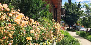 Latitude Latitude Gallery 4