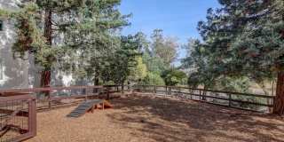 McInnis Park Gallery 27