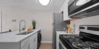 Tides on McDowell Gallery 5