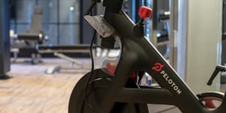 The Guild Gallery 37