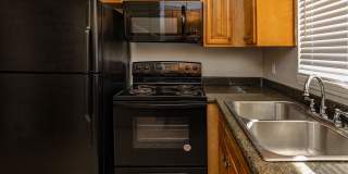 Amelia at Deerwood Gallery 11