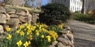 168 Long Ridge Road Gallery 3