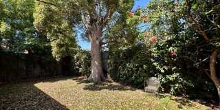 Five Bedroom/Four Bathroom Luxury House in Koreatown Gallery 30