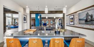 The Peri on Westheimer Gallery 13