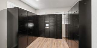 Forest View Gallery 24
