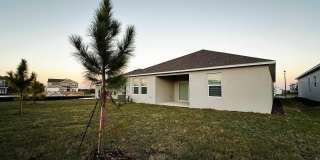 339 PUMA LOOP Gallery 33