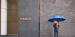 The Harlo Gallery 43
