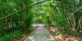 Georgian Oaks Apartments 2 Gallery 25