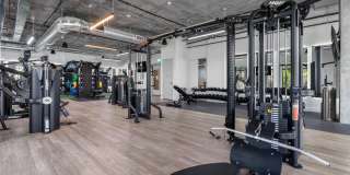 Arvella Arvella Gallery 49