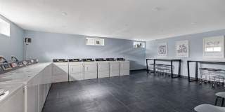 Livingston Gardens Gallery 48