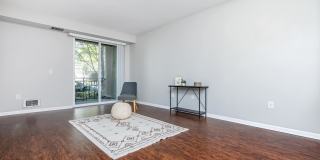 The Village at Town Center Gallery 82