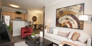 Paces Park Gallery 17