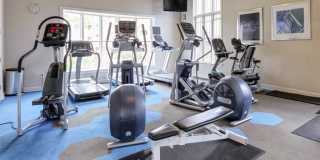 Bella Springs Gallery 16