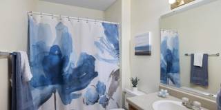 Cambridge Square Apartments Gallery 12