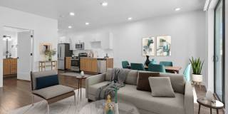 The Olive The Olive Gallery 21