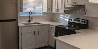 iConic at Mueller Gallery 1