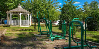 Orchard Park Gallery 20