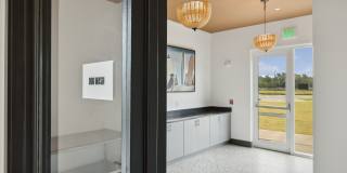 Ascend at Woodlands Gallery 122