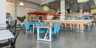 Blue and Lime Gallery 25