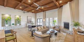 Arabella Gallery 6