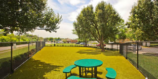 Saratoga Square Gallery 15