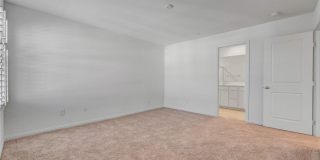 3548 Dimora Street Gallery 31