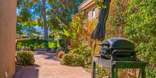 67579 S Laguna Drive Gallery 22