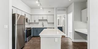 Lyra Gallery 1