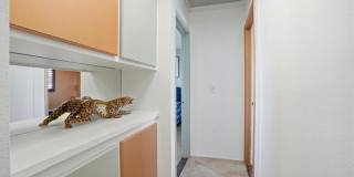 3182 Moonflower Drive Gallery 9