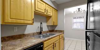 The Pines at SoBro Gallery 4