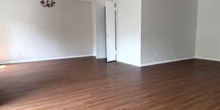 307 YOAKUM Parkway Gallery 11