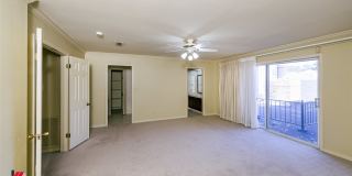 65 Tealwood Street Gallery 35