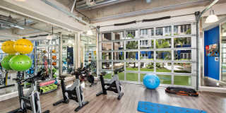 Maitland City Centre Gallery 14