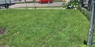 5 Bedroom Across from NDSU!! Gallery 29