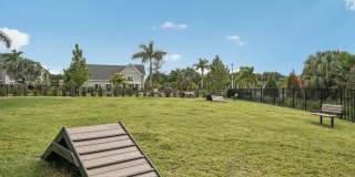 Palm Grove Gallery 47
