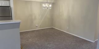 7531 Spring Lake Drive Gallery 12