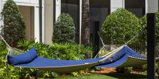 The Julington Gallery 7