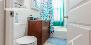 Nicely renovated 3 bed in a prime location next to the Green Line. Gallery 3