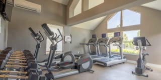 Lantern Cove Gallery 33