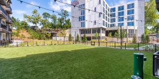 The Wyre River Arts Gallery 33