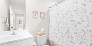 4447 Wild Ridge Drive Gallery 12