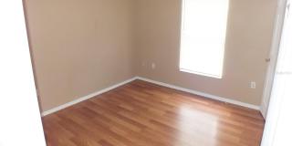 437 FISH HAWK Drive Gallery 8