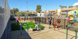 Sundance Village Gallery 20