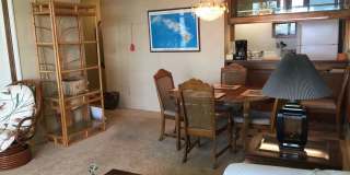 Fully furnished 2BDRM/2BATH Gallery 6